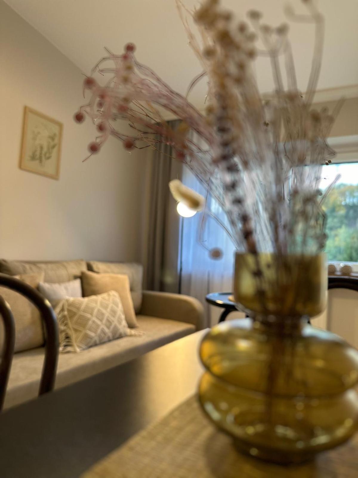 קודובה-זדרוי Apartamenty Lavenderia Z Widokiem Na Gore Parkowa, Blisko Centrum מראה חיצוני תמונה